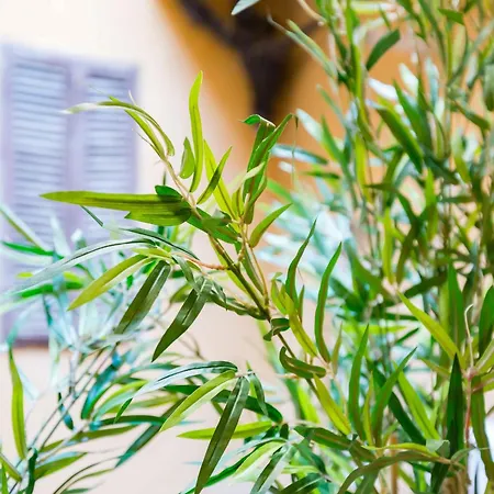Campo Dei Fiori Splendid 罗马